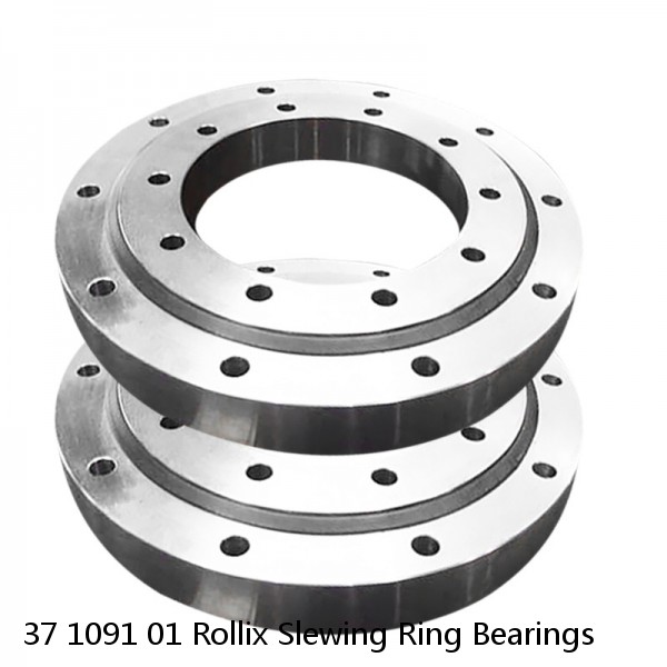 37 1091 01 Rollix Slewing Ring Bearings