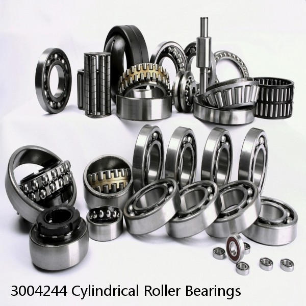 3004244 Cylindrical Roller Bearings