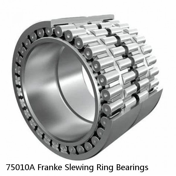 75010A Franke Slewing Ring Bearings