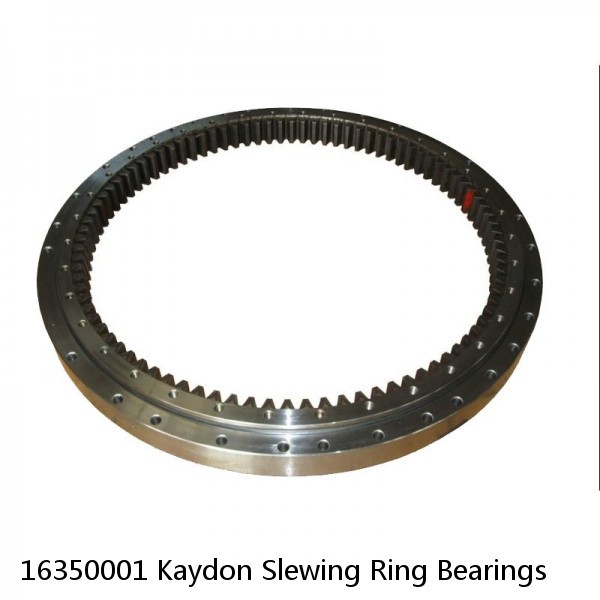 16350001 Kaydon Slewing Ring Bearings