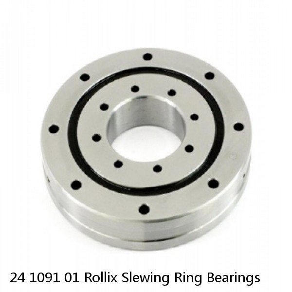 24 1091 01 Rollix Slewing Ring Bearings