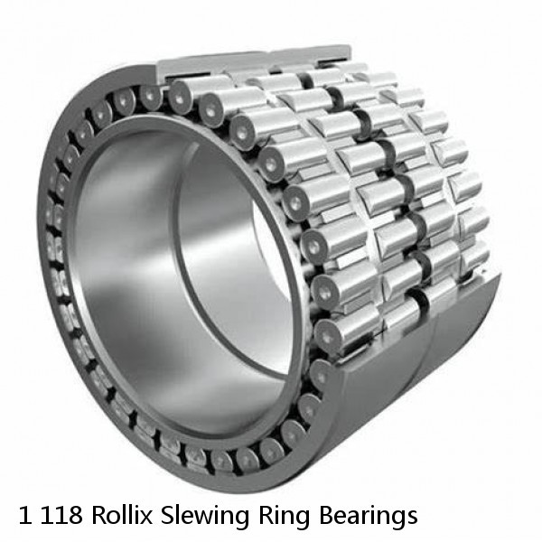 1 118 Rollix Slewing Ring Bearings