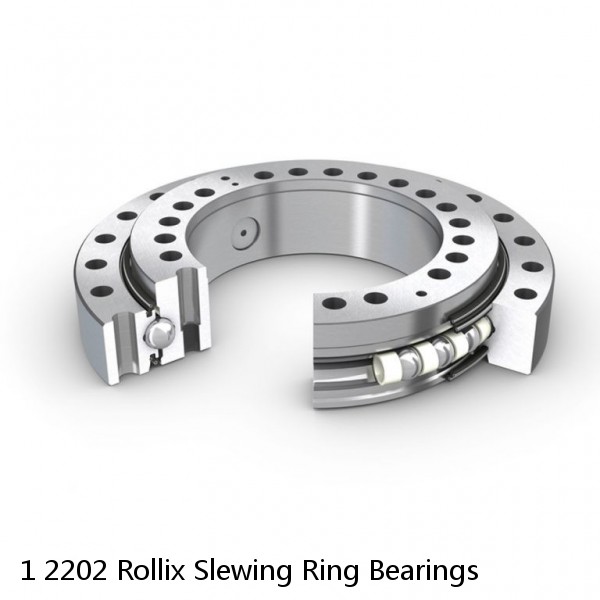 1 2202 Rollix Slewing Ring Bearings