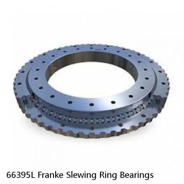 66395L Franke Slewing Ring Bearings