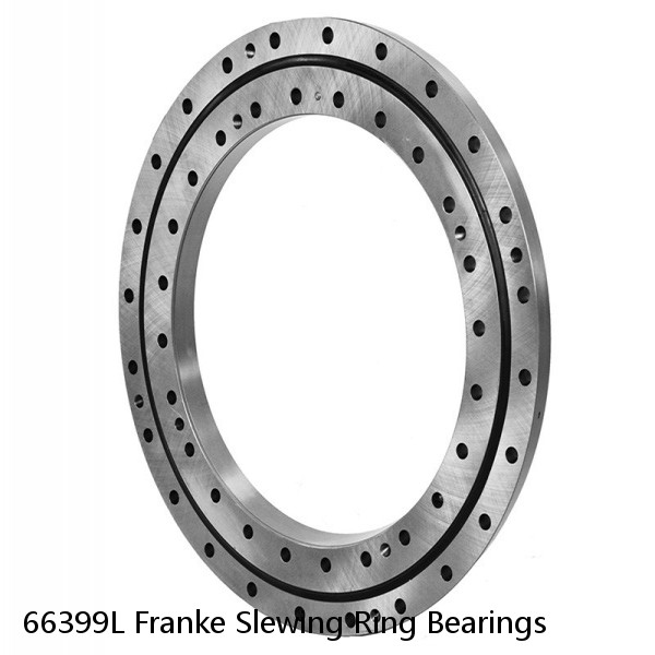 66399L Franke Slewing Ring Bearings