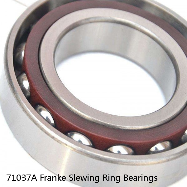 71037A Franke Slewing Ring Bearings