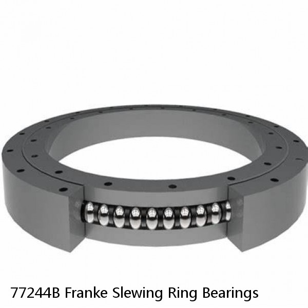 77244B Franke Slewing Ring Bearings