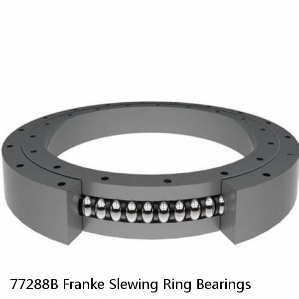 77288B Franke Slewing Ring Bearings