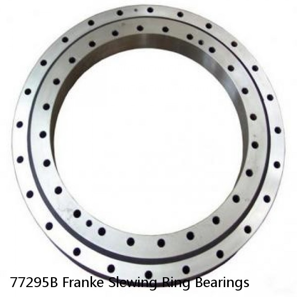 77295B Franke Slewing Ring Bearings