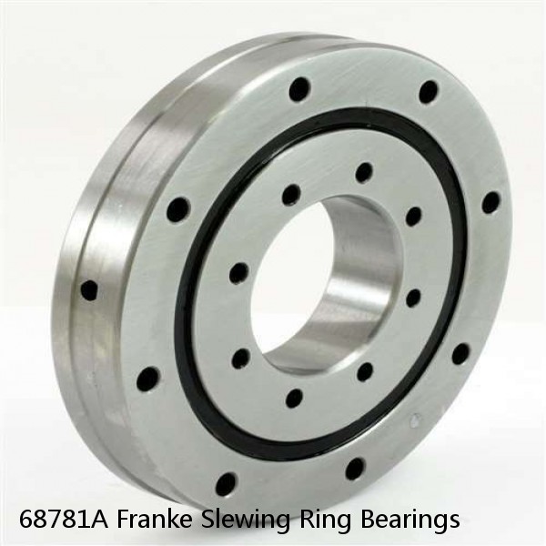 68781A Franke Slewing Ring Bearings