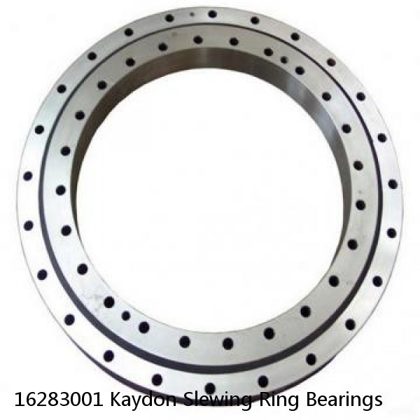 16283001 Kaydon Slewing Ring Bearings