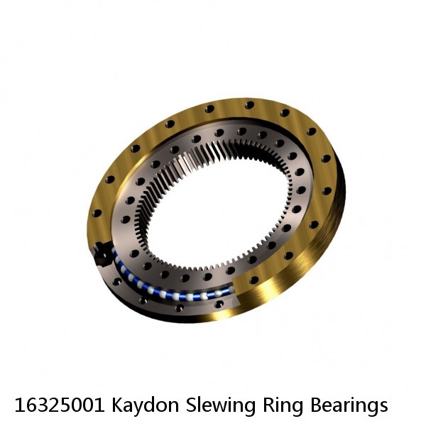 16325001 Kaydon Slewing Ring Bearings