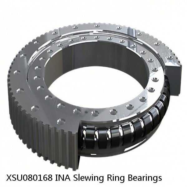 XSU080168 INA Slewing Ring Bearings