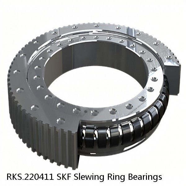 RKS.220411 SKF Slewing Ring Bearings