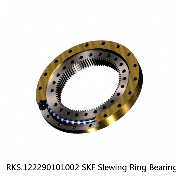 RKS.122290101002 SKF Slewing Ring Bearings