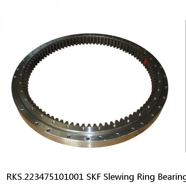 RKS.223475101001 SKF Slewing Ring Bearings