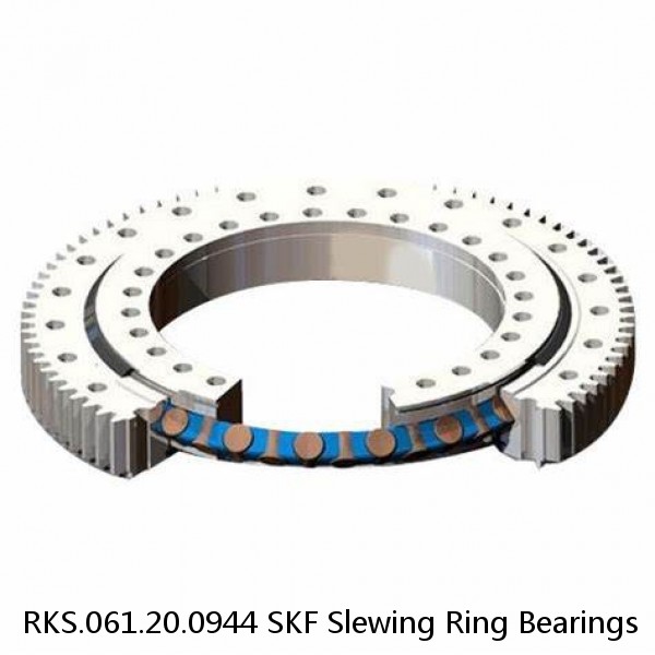 RKS.061.20.0944 SKF Slewing Ring Bearings