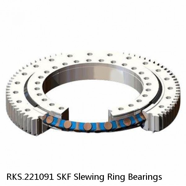 RKS.221091 SKF Slewing Ring Bearings