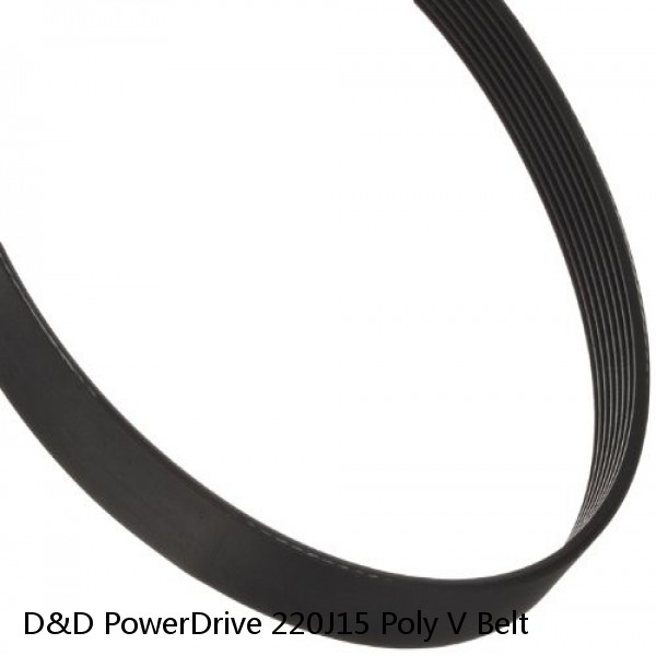 D&D PowerDrive 220J15 Poly V Belt