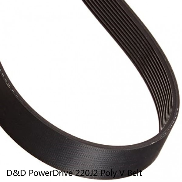 D&D PowerDrive 220J2 Poly V Belt