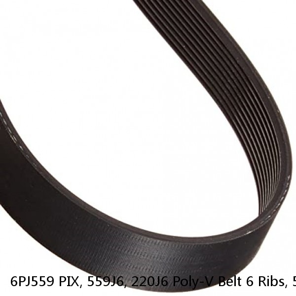 6PJ559 PIX, 559J6, 220J6 Poly-V Belt 6 Ribs, 559mm, 22" Long