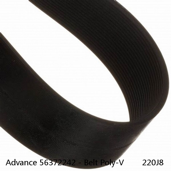 Advance 56372242 - Belt Poly-V        220J8