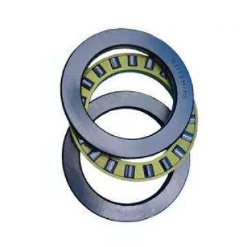 Hybrid Ceramic Ball Bearing for Vertical Pumps RMS9