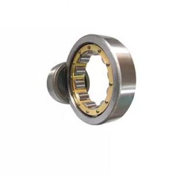 NTN/SKF/NSK 7209 Angular Contact Ball Bearings 7204, 7205, 7206, 7207, 7208 B-Tvp Begap Acd/P4adgc C AC