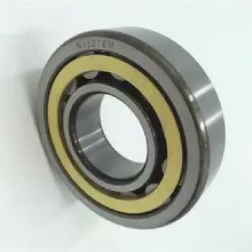 NSK NTN Koyo SKF Timken Deep Groove Ball Bearing 6000zz 6204 6206 2RS 6304lu 6004 6205 6203 6203dul1 6000zz 6001 6002 6005 6006-18 6200 10309 6201 6202c4 6207