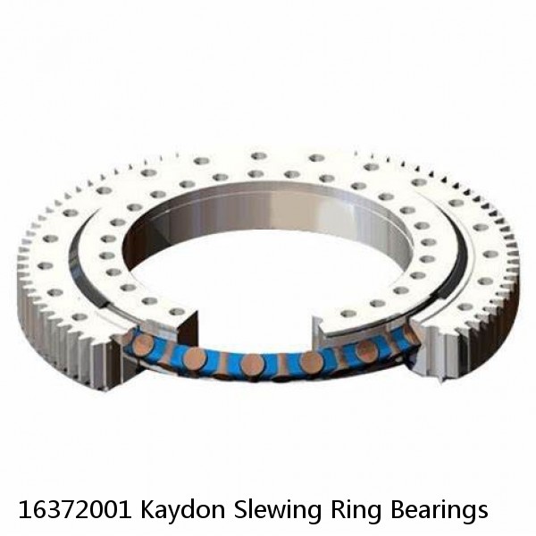 16372001 Kaydon Slewing Ring Bearings