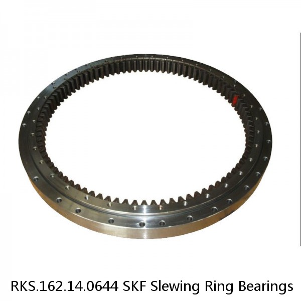 RKS.162.14.0644 SKF Slewing Ring Bearings