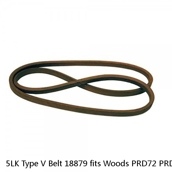 5LK Type V Belt 18879 fits Woods PRD72 PRD7200 RD72 RD7200 RM660