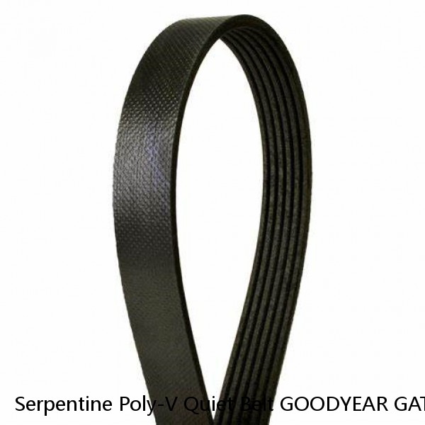 Serpentine Poly-V Quiet Belt GOODYEAR GATORBACK 4040560 