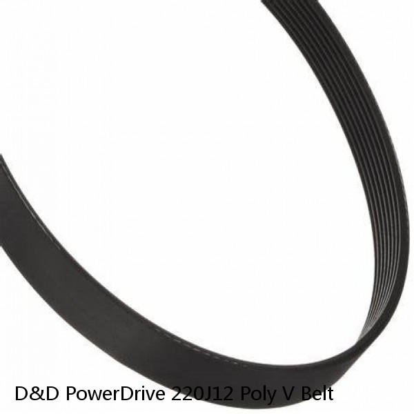 D&D PowerDrive 220J12 Poly V Belt