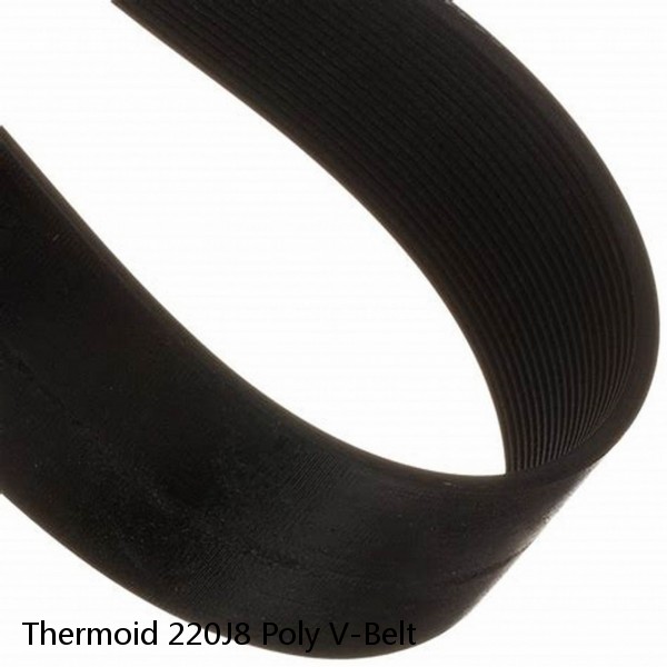 Thermoid 220J8 Poly V-Belt