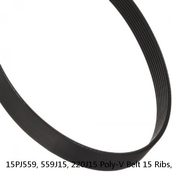 15PJ559, 559J15, 220J15 Poly-V Belt 15 Ribs, 559mm, 22" Long